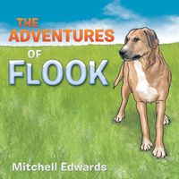 Cover image for The Adventures of Flook