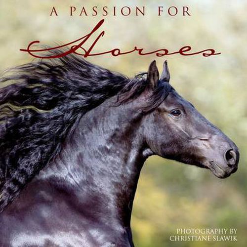 Cover image for Passion for Horses. A