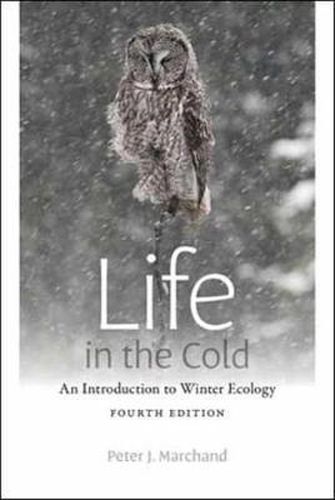 Cover image for Life in the Cold