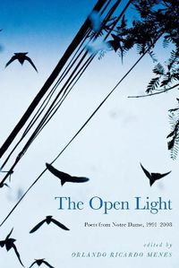 Cover image for The Open Light