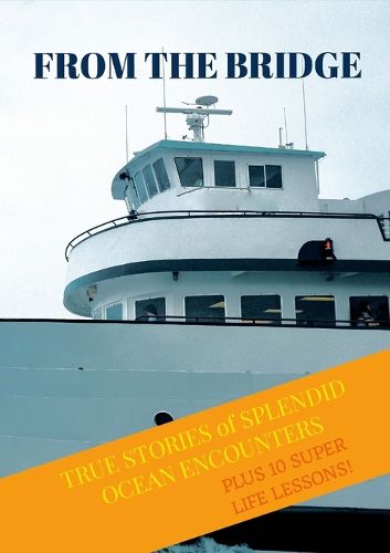 Cover image for From The Bridge