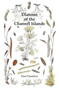 Cover image for Diatoms of the Channel Islands