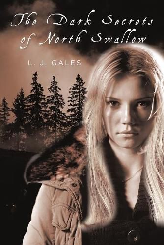Cover image for The Dark Secrets of North Swallow