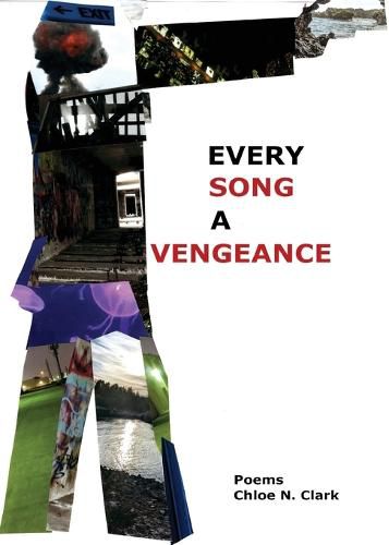 Cover image for Every Song a Vengeance