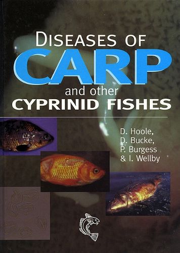 Cover image for Diseases of Carp and Other Cyprinid Fish