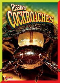 Cover image for Hissing Cockroaches