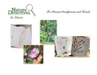 Cover image for Nature Detectives at Home