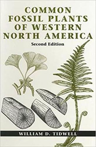 Cover image for Common Fossil Plants of Western North America