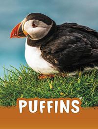 Cover image for Puffins