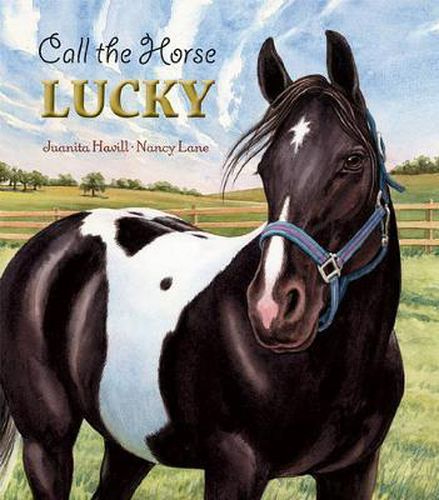 Cover image for Call the Horse Lucky