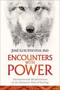 Cover image for Encounters with Power: Adventures and Misadventures on the Shamanic Path of Healing