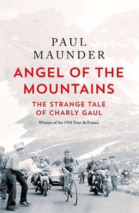 Cover image for Angel of the Mountains