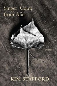 Cover image for Singer Come From Afar