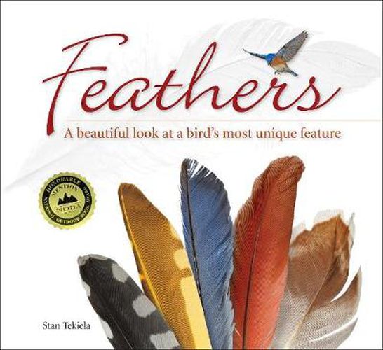 Feathers: A Beautiful Look at a Bird's Most Unique Feature