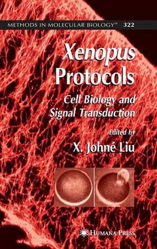 Cover image for Xenopus Protocols: Cell Biology and Signal Transduction