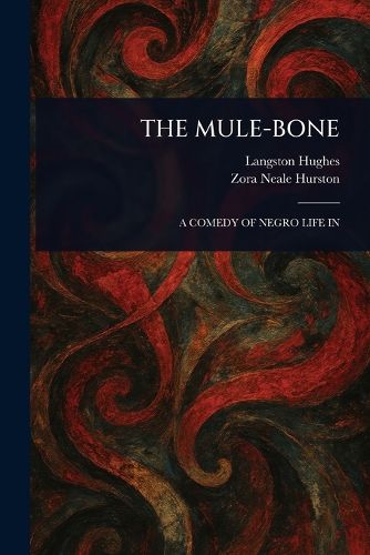 Cover image for The Mule-Bone