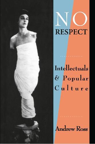 Cover image for No Respect: Intellectuals and Popular Culture