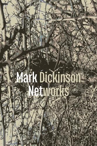 Cover image for Networks