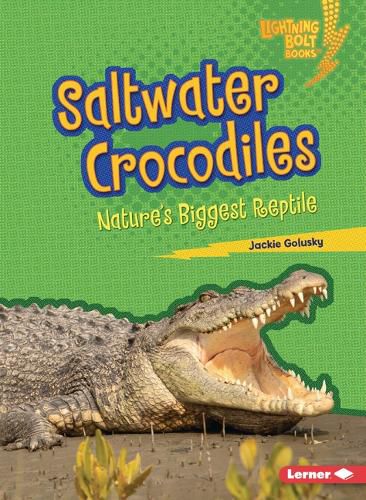 Cover image for Saltwater Crocodiles