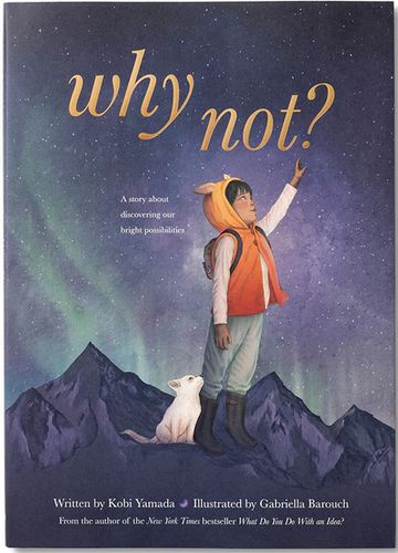 Cover image for Why Not?