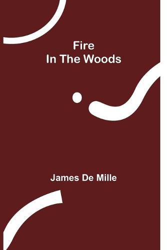 Cover image for Fire In The Woods