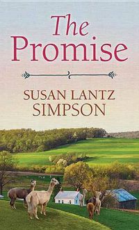 Cover image for The Promise