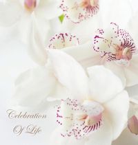 Cover image for Celebration of Life, In Loving Memory Funeral Guest Book, Wake, Loss, Memorial Service, Love, Condolence Book, Funeral Home, Missing You, Church, Thoughts and In Memory Guest Book (Hardback)