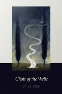 Cover image for Choir of the Wells