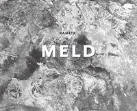 Cover image for Meld