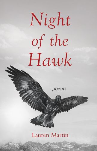 Cover image for Night of the Hawk