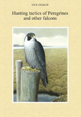 Cover image for Hunting tactics of Peregrines and other falcons