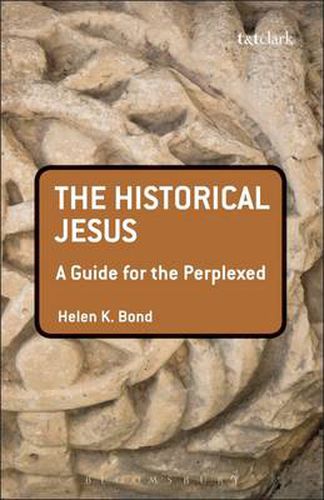 Cover image for The Historical Jesus: A Guide for the Perplexed