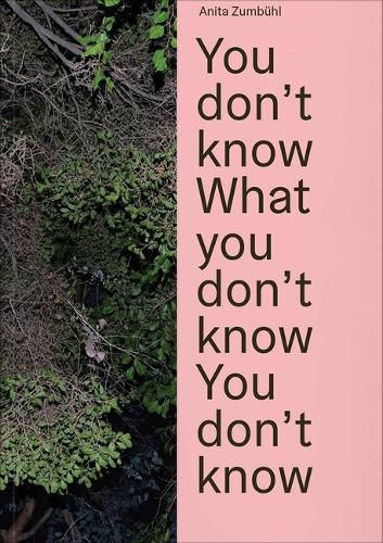 Cover image for Anita Zumbuhl: You Don't Know What You Don't Know You Don't Know