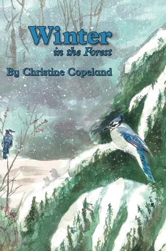 Cover image for Winter in the Forest