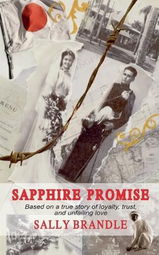 Cover image for Sapphire Promise