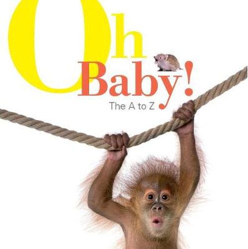 Cover image for Oh Baby! The A to Z