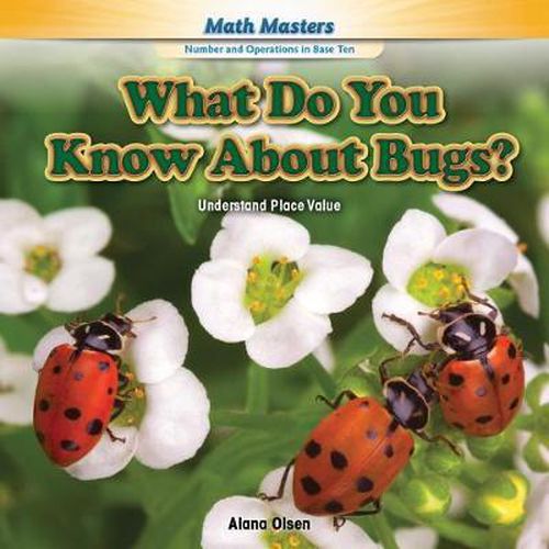 Cover image for What Do You Know about Bugs?: Understand Place Value