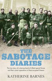 Cover image for The Sabotage Diaries