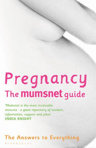 Pregnancy: The Mumsnet Guide: The Answers to Everything