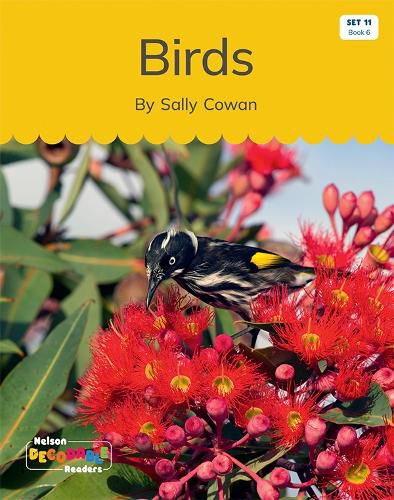 Birds (Set 11, Book 6)