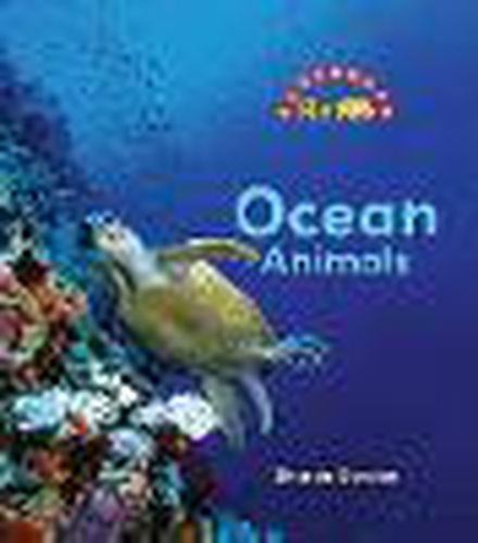 Cover image for Ocean Animals