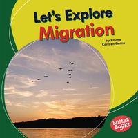 Cover image for Let's Explore Migration