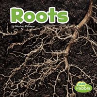 Cover image for Roots (Plant Parts)