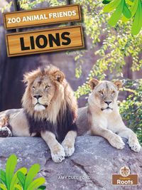 Cover image for Lions