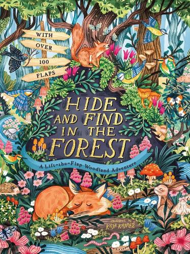 Cover image for Hide and Find in the Forest: A Lift-the-Flap Woodland Adventure