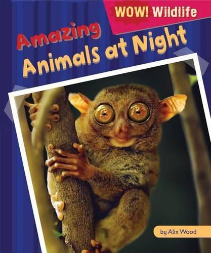 Cover image for Amazing Animals at Night