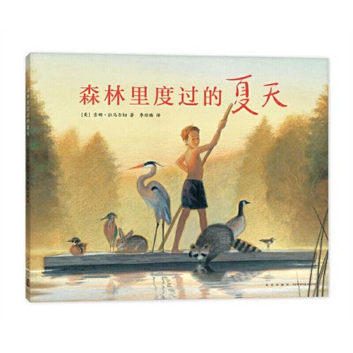 Cover image for Summer in the Forest