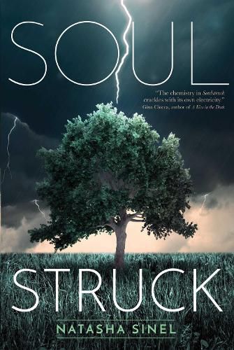 Cover image for Soulstruck