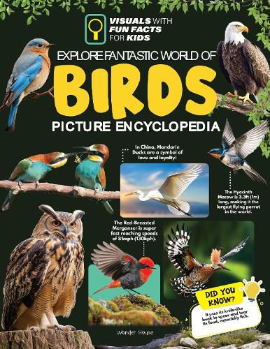 Cover image for Explore Fantastic World of Birds Picture Encyclopedia