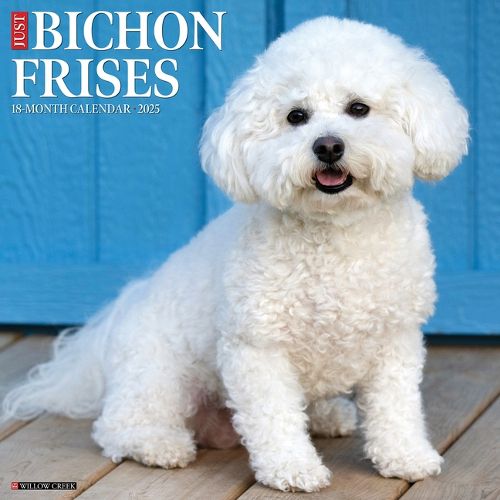 Cover image for Bichon Frises 2026 12 X 12 Wall Calendar